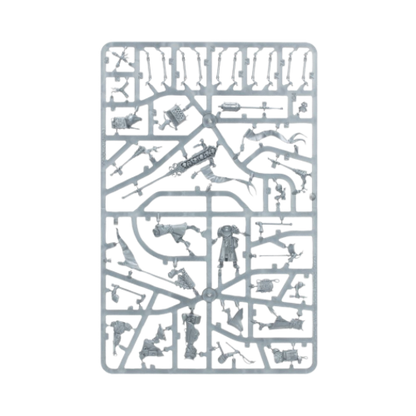 Warhammer: Cities Of Sigmar Freeguild Fusiliers