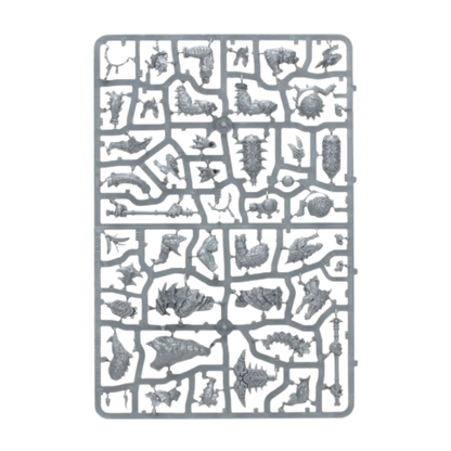 Warhammer Age of Sigmar: Spearhead Seraphon